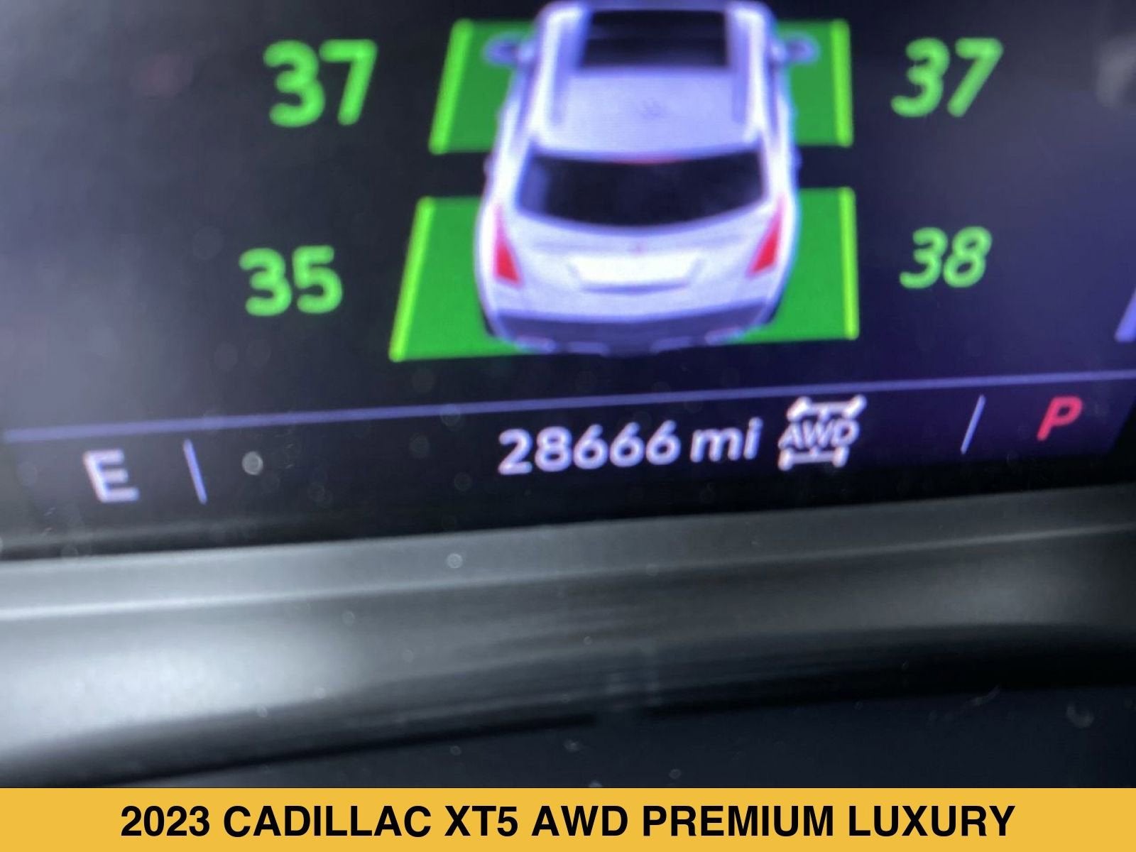 2023 Cadillac XT5 Premium Luxury