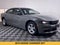 2019 Dodge Charger SXT RWD