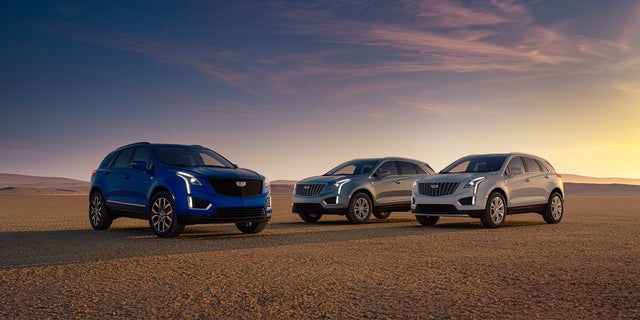 A collection of 2025 Cadillac XT5 parked in a desert environment during sunset